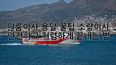원룸이사 용달🚚 꿀팁🍯: 소량이사, 안전하고 저렴하게 끝내는 법!