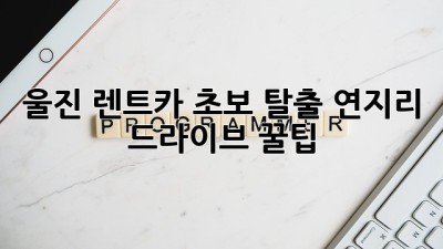 울진 렌트카 초보 탈출! 연지리 드라이브 꿀팁🚗💨