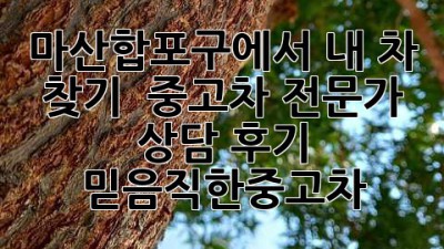 마산합포구에서 내 차 찾기 🚗💨 중고차 전문가 상담 후기 #믿음직한중고차