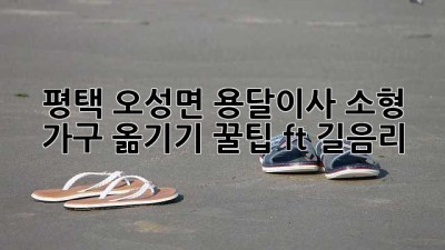 평택 오성면 용달이사🚚 소형 가구 옮기기 꿀팁🍯 (ft. 길음리)